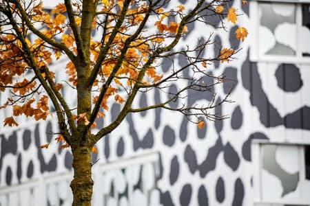 SW35 Office Building Facade Transformation 